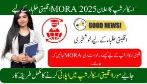 Mora Minority Scholarship 2025